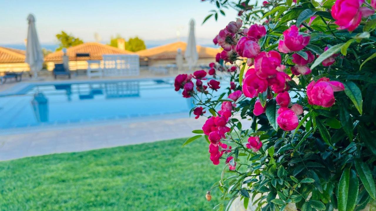 Jenny Villas Kriopigi Dış mekan fotoğraf