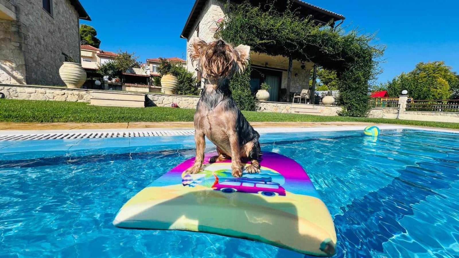 Jenny Villas Kriopigi Dış mekan fotoğraf